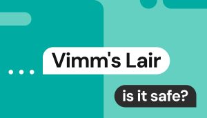 Is Vimm’s Lair safe? Exploring the legal and security issues around downloading ROMs