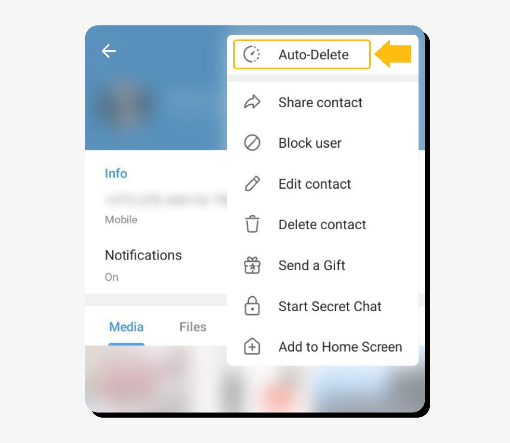 Telegram chat settings with the auto-delete feature highlighted. Telegram is safe if you enable its security features