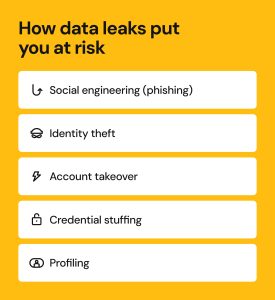 What Is A Data Leak? Definition, Examples & Prevention