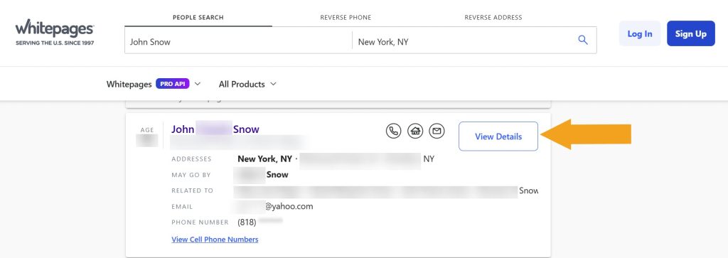 Whitepages search results page with profiles for John Snow with an arrow pointing at the "View Details" button